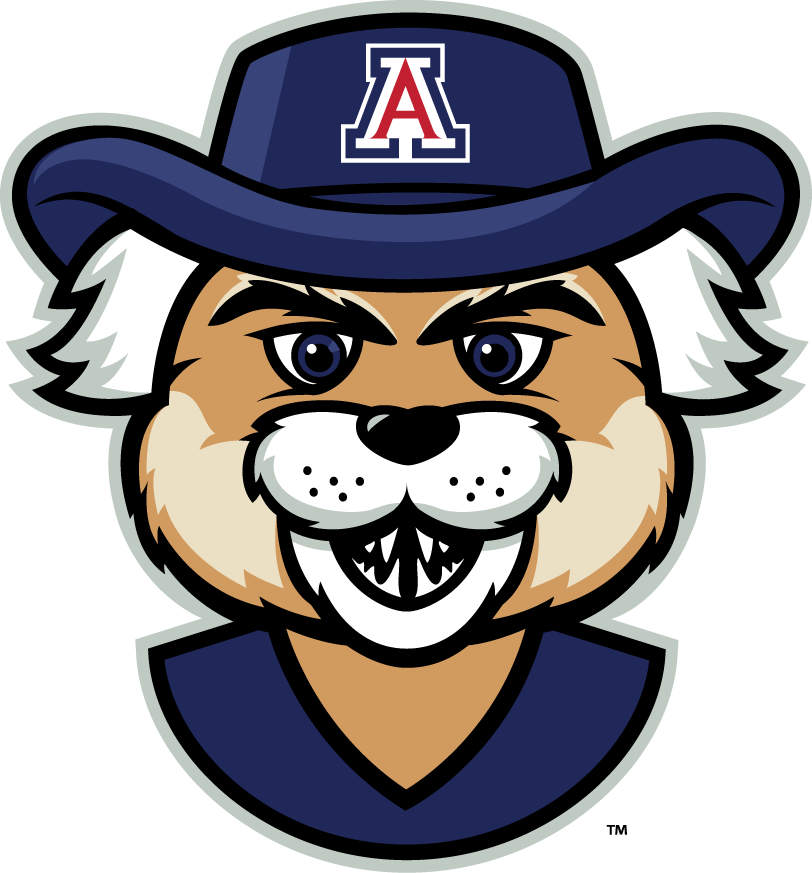 Arizona Wildcats 2013-Pres Mascot Logo v5 iron on transfers for T-shirts